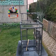 Ile kosztuje klatka dla papugi? Ceny, rodzaje i porady zakupowe