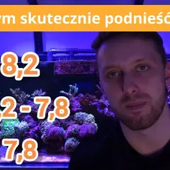 Jak podnieść KH w akwarium: 5 skutecznych metod i wskazówki