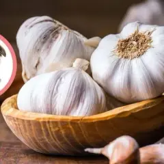 Czy pies może jeść czosnek? Poznaj zagrożenia i bezpieczne opcje