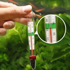 Idealna temperatura w akwarium: klucz do zdrowia ryb i roślin