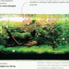 Jak przycinać rośliny w akwarium: Krok po kroku dla zdrowego zbiornika