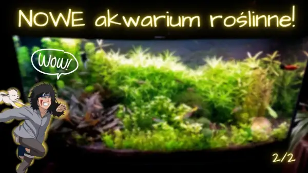 Optymalne KH i GH w akwarium roślinnym: Klucz do sukcesu